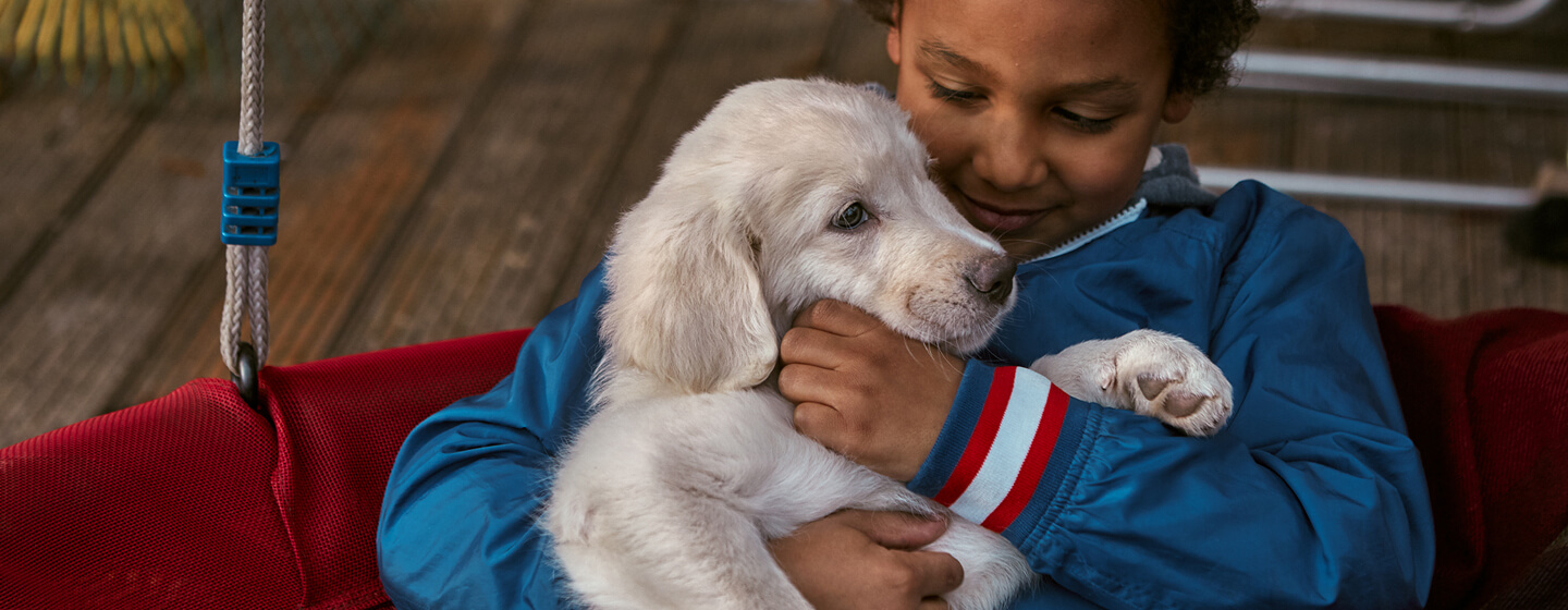 boy with puppy