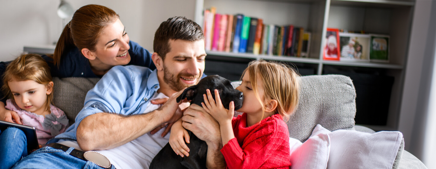 7 of the Best Dog Breeds for Families and Kids