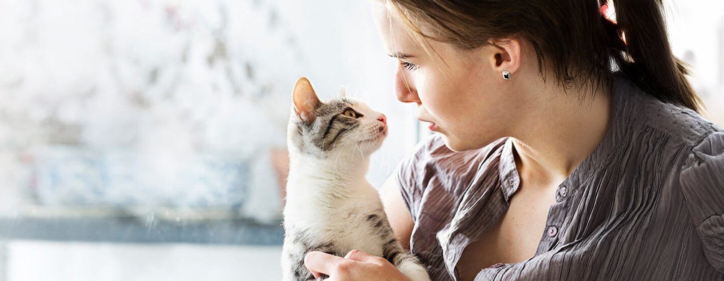 Adopting a Cat or Kitten