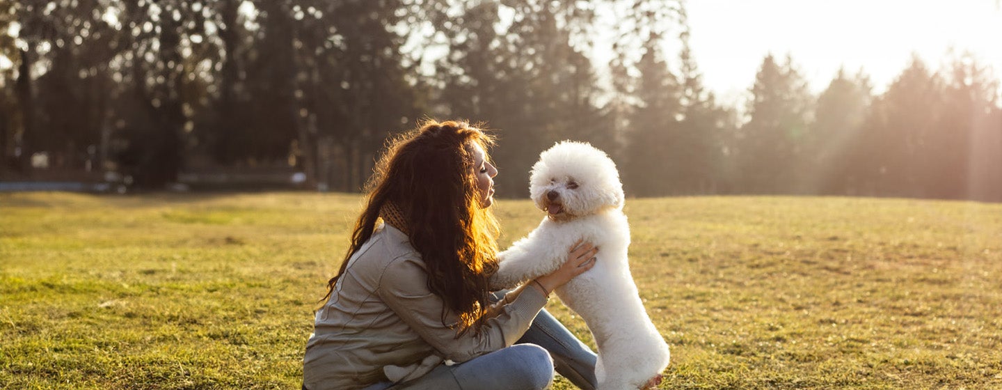 Coping with The Loss of a Pet