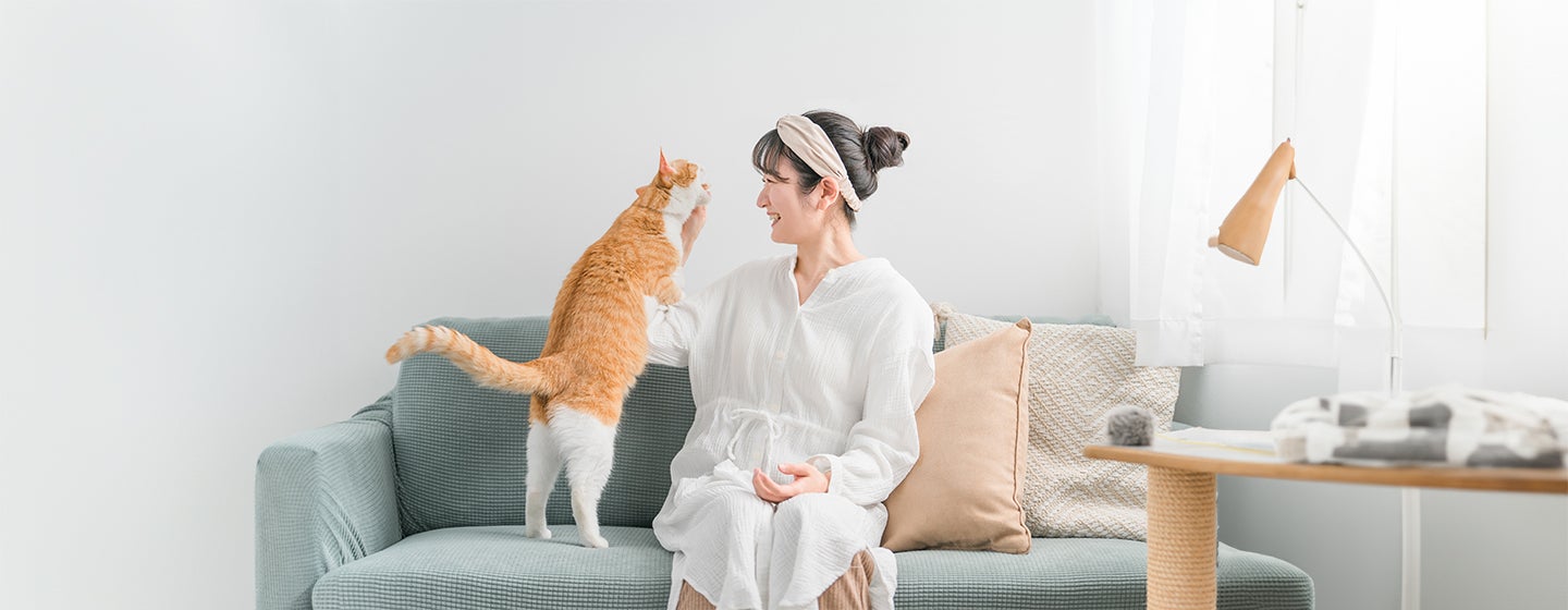 How to Discipline Your Cat