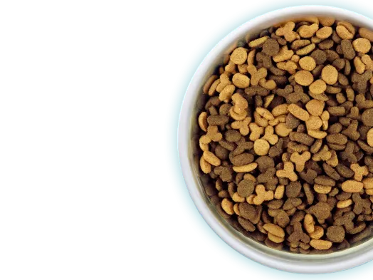 Dry Cat Food