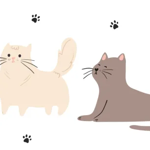 Famous Cartoon Cats