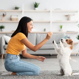 5 Cool Tricks to Teach Your Dog