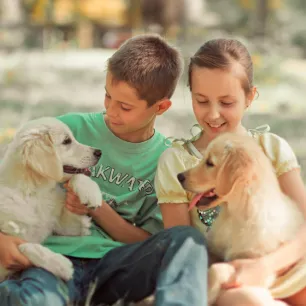 Big Life Changes to Expect and the Benefits of Having a Dog