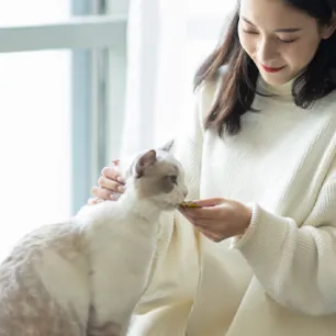 Can Cats Eat Pork