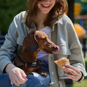 Can Dogs Eat Ice Cream
