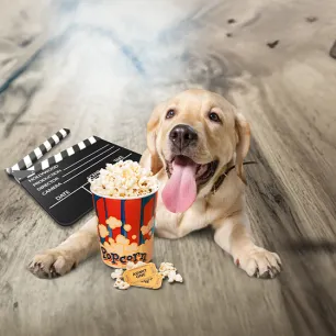 Can Dogs Eat Popcorn?