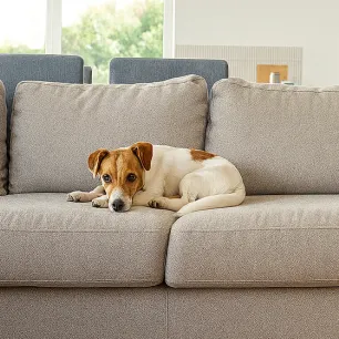 How Long Can You Leave a Dog Alone
