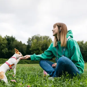 How to Teach a Dog to Give Paw in 10 Steps