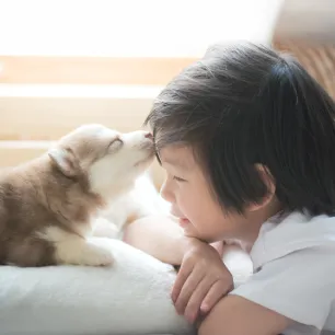 Introducing Puppies and Children