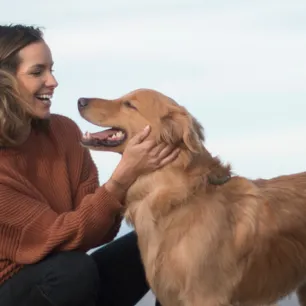 Medium-Sized Dog Breeds