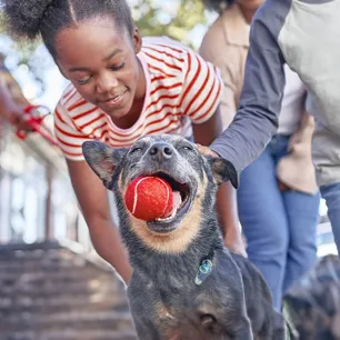 Pet Adoption Interview – Aileen’s Experience