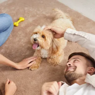 Puppy Buying Guide: Finding the Right Breeder