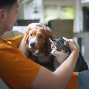 Tips on caring for our pets’ health, effectively but efficiently