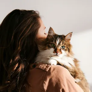 Top 10 Therapy Cats for Comfort and Support