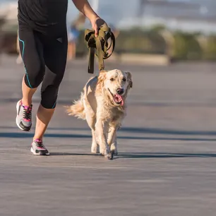 Running With Your Dog