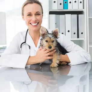 The Importance of Regular Vet Check-Ups for Your Dog