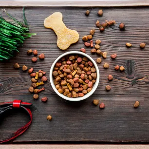 What’s in Dog Food