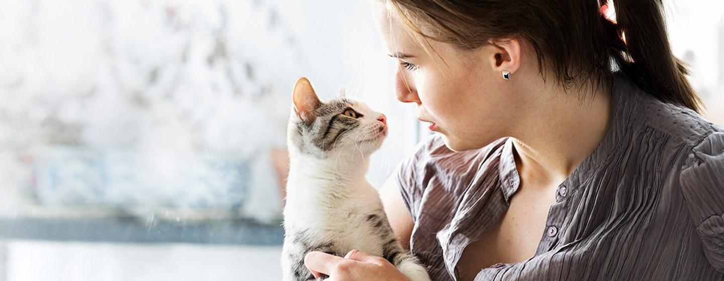 Adopting a Cat or Kitten