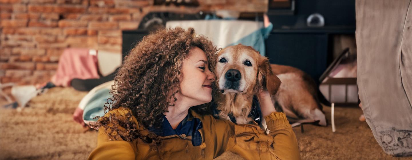 Common Golden Retriever Health Problems