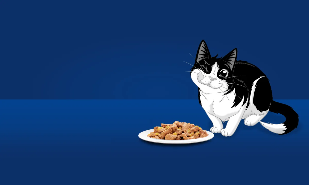 Black‑and‑white cartoon cat sitting beside a plate of chunky and meaty wet cat food