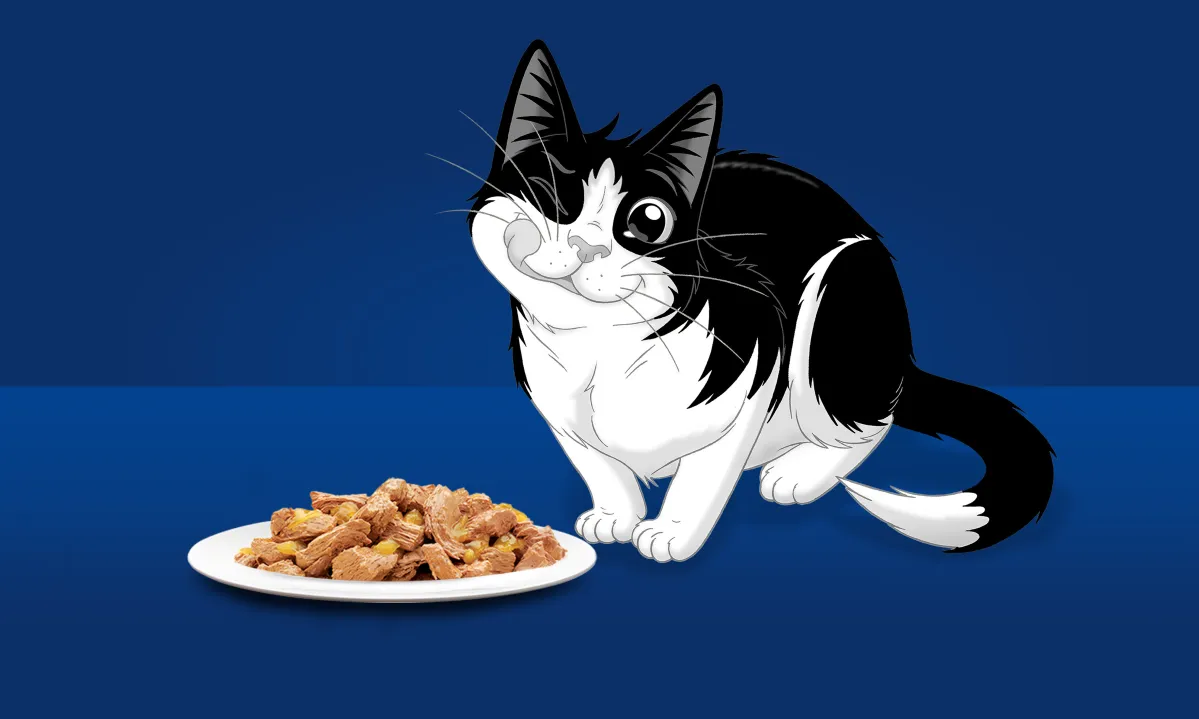 Black‑and‑white cartoon cat sitting beside a plate of chunky and meaty wet cat food