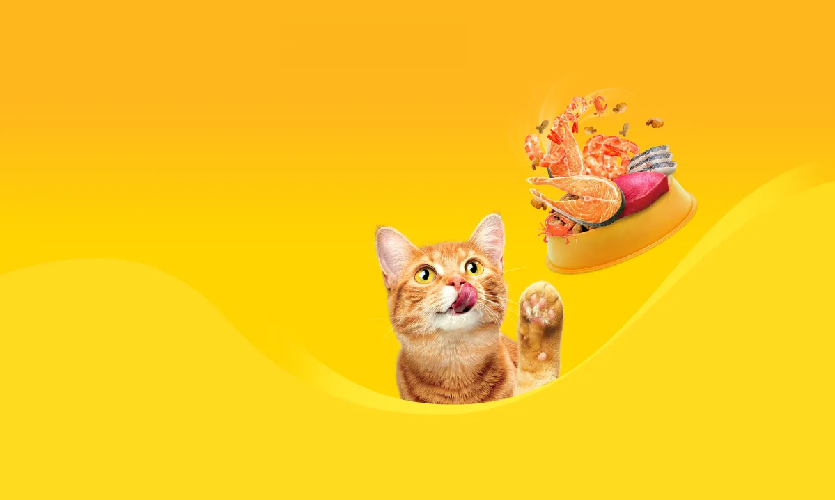 Orange cat licking its lips beside a bowl bursting with assorted seafood.