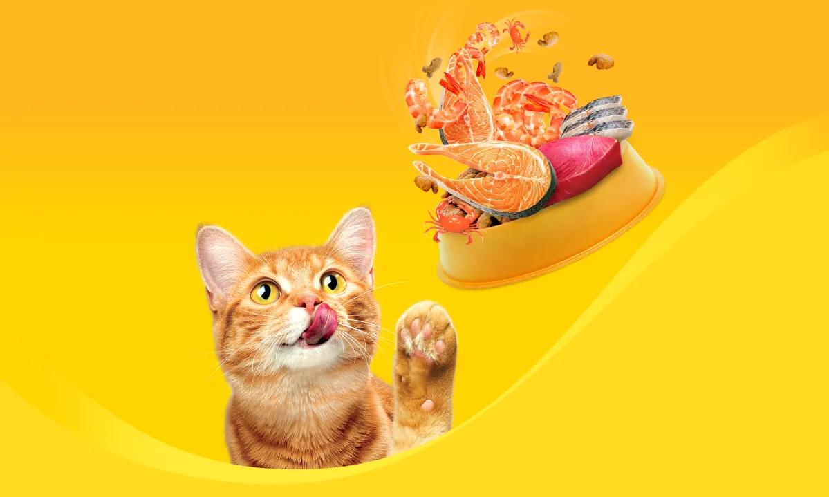 Orange cat reaching toward a bowl filled with assorted seafood pieces