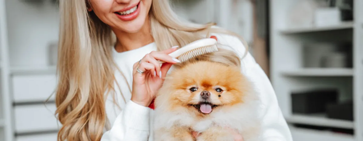 How to Groom a Dog