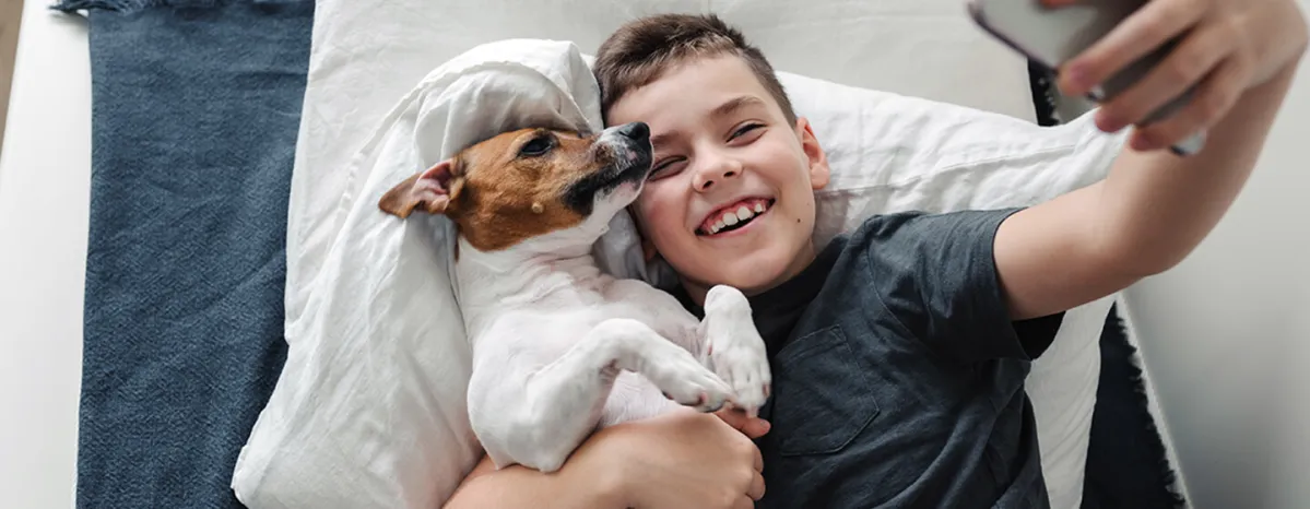 10 Best Therapy Dogs & What They Do