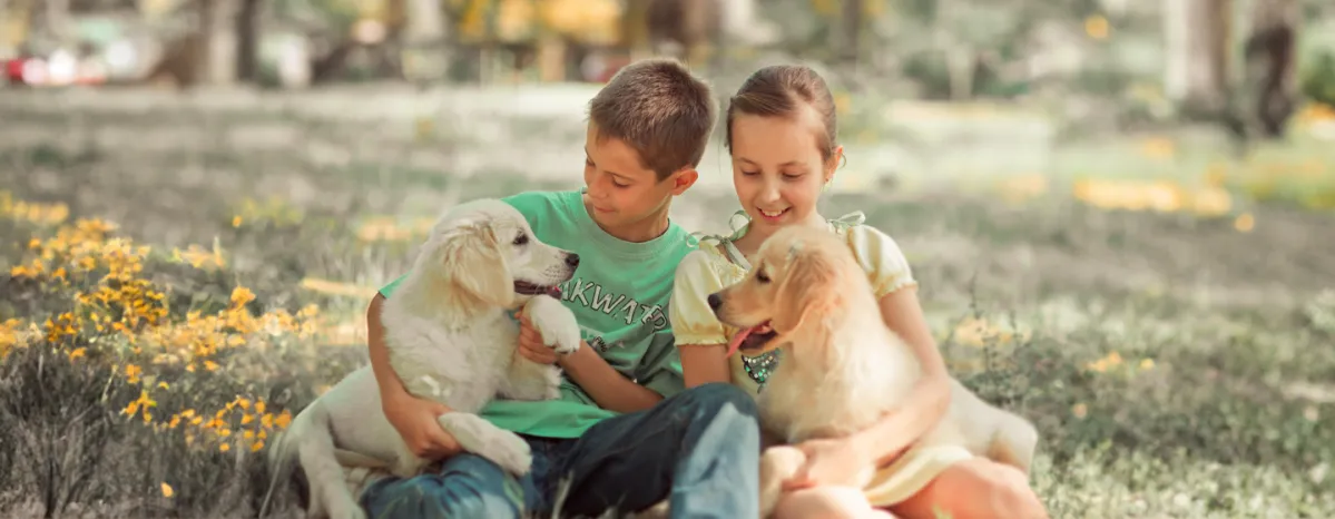 Big Life Changes to Expect and the Benefits of Having a Dog