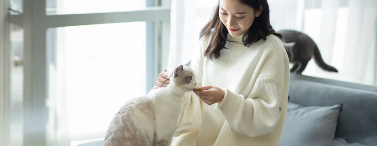 Can Cats Eat Pork