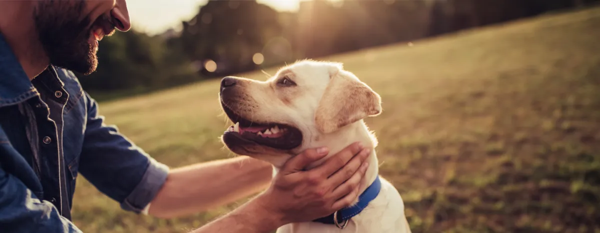 New Study Reveals the Many Benefits of Having a Dog