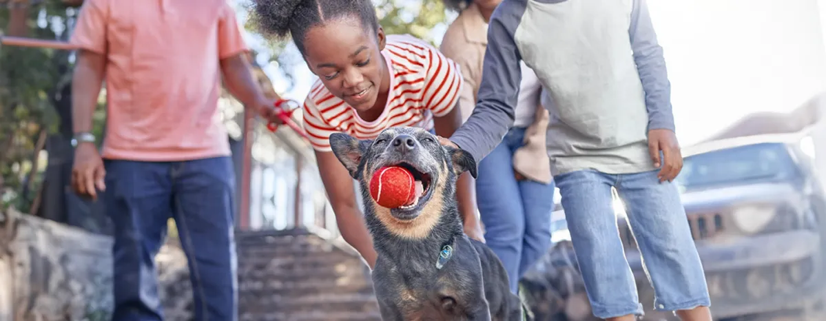 Pet Adoption Interview – Aileen’s Experience