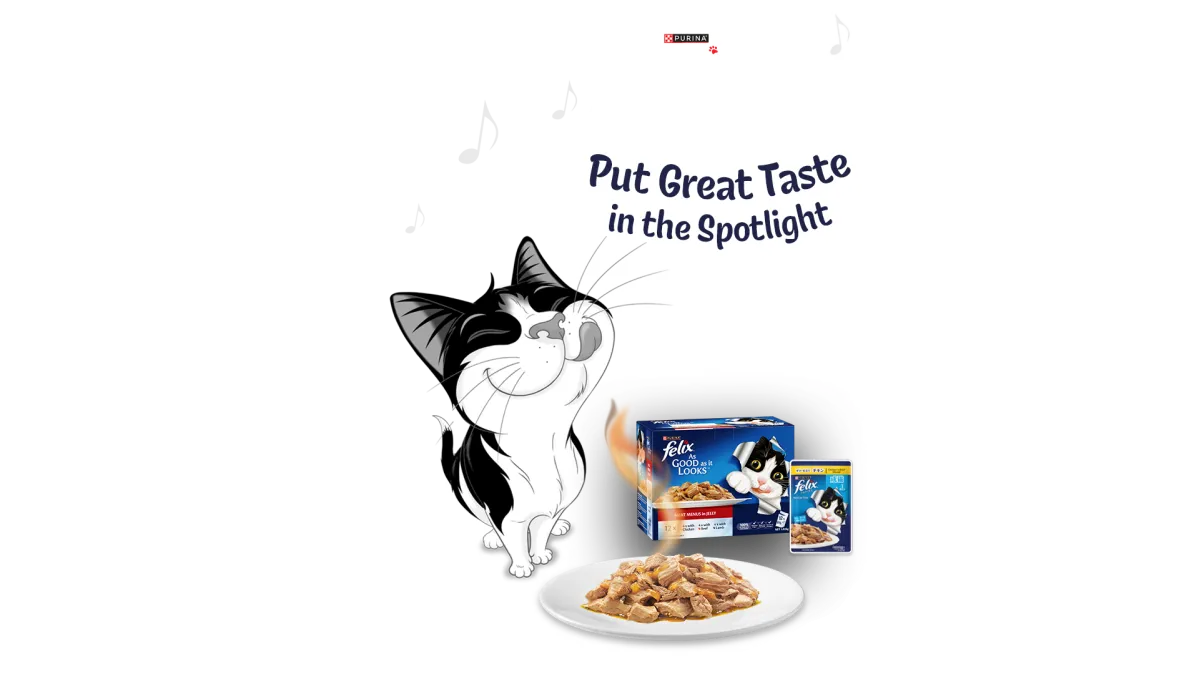 Felix cat with Felix wet cat food products and a plate of wet cat food