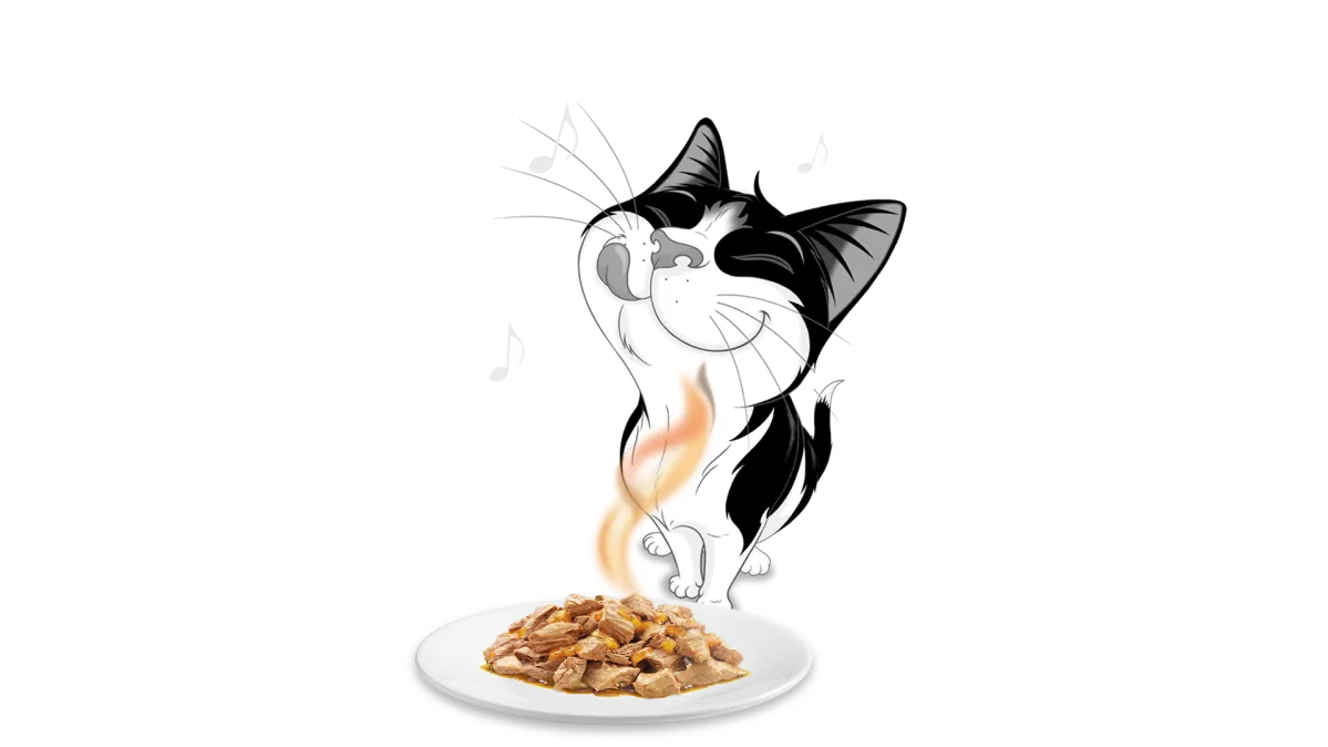 Felix cat enjoying the aroma of wet cat food served on a plate