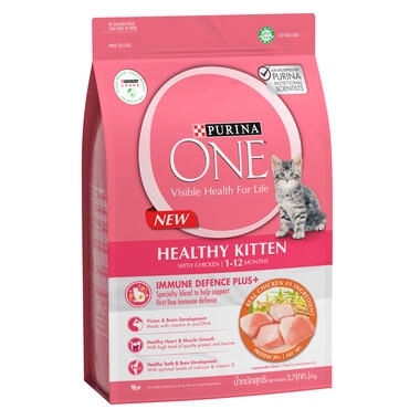PURINA ONE Active Kitten with Chicken Dry Cat Food