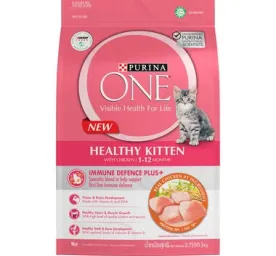 PURINA ONE® Active Kitten with Chicken Dry Cat Food