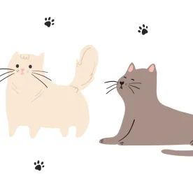 Famous Cartoon Cats