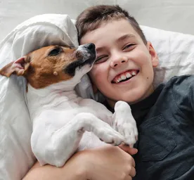 10 Best Therapy Dogs & What They Do