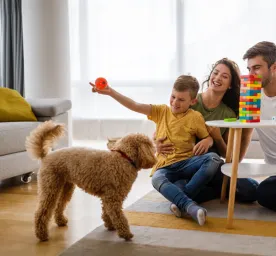 Indoor Games you can Play with Your Dog