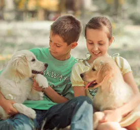 Big Life Changes to Expect and the Benefits of Having a Dog