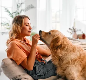 Can Dogs Eat Ginger
