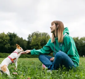 How to Teach a Dog to Give Paw in 10 Steps