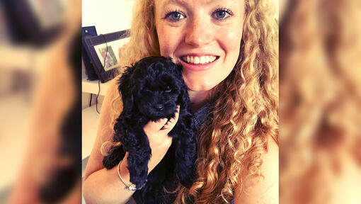 Woman holding a puppy yorkiepoo