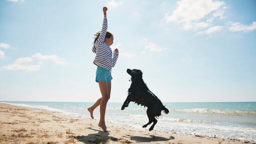 girl and black dog jumping on a beach