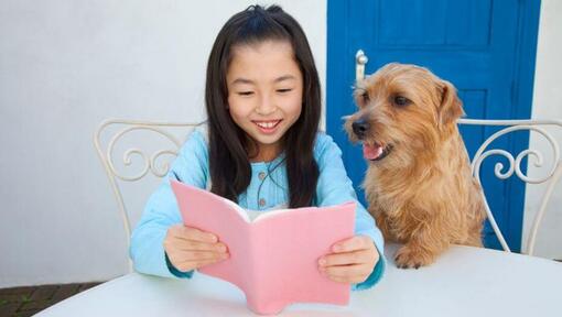 Norfolk Terrier sitting next to girl